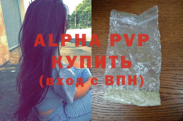 гашик Надым