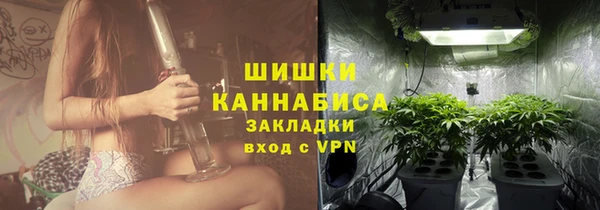 сатива Михайловка