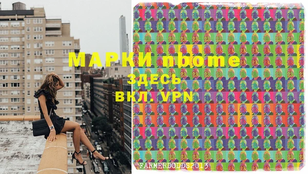 сатива Михайловка