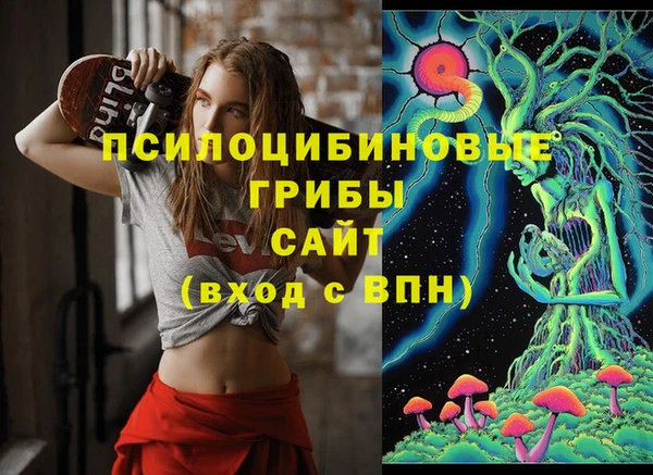 мдпв Ивангород