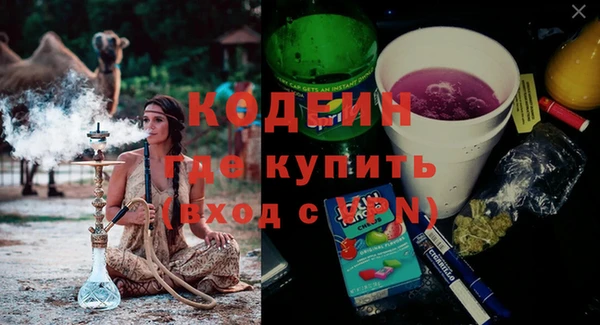 мдпв Ивангород