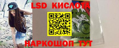 прущие грибы Будённовск
