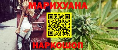 прущие грибы Будённовск