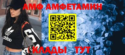 прущие грибы Будённовск