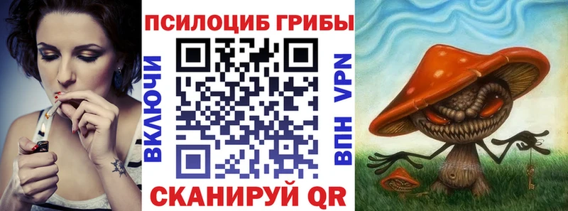 Псилоцибиновые грибы Psilocybine cubensis  купить наркоту  mega   Куйбышев 