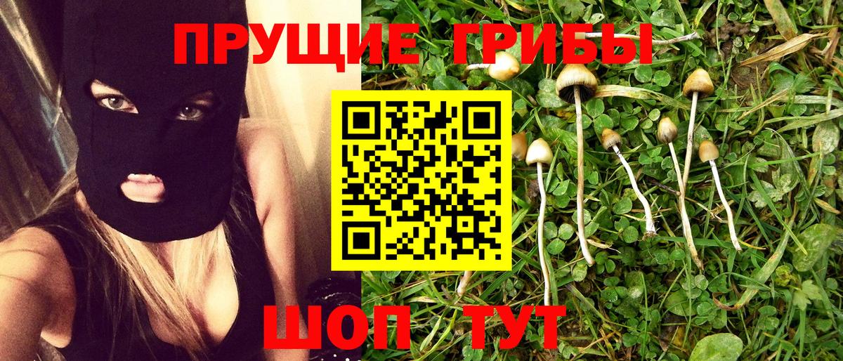 Галлюциногенные грибы ЛСД  Псилоцибиновые грибы GOLDEN TEACHER  Куйбышев  Вход с VPN 