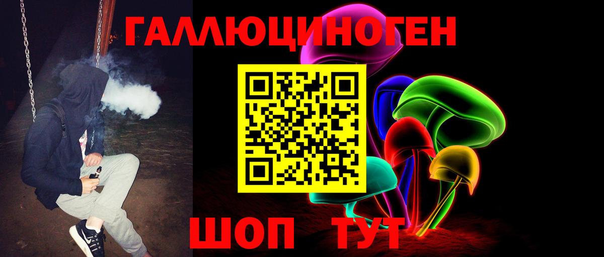 Псилоцибиновые грибы Psilocybe Куйбышев